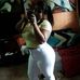 Frank Saray - Facebook