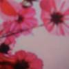 Frank Sarro528 - @franksarro52843 - TikTok