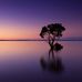Frank Scanlon - Facebook