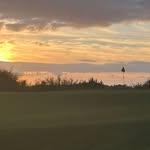 Frank scanlon - @frankscano - Instagram