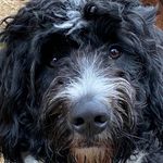 Frank Schaaf - @fschaaf678 - Instagram