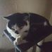 Frank Schaaf - Facebook