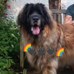 Frank Scheidt - @frank.scheidt73 - Instagram