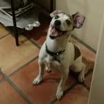 Frank Schell - @frank.a.schell - Instagram