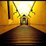 Frank Schepis - @frankschepis - Instagram