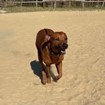 Frank Behrendt-Schick - @frankbehrendt66 - Instagram