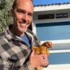 FranksFarm - @frankschickenfarm - TikTok
