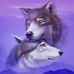 Frank Schlemmer - Facebook