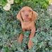 Frank Schmitt - Facebook