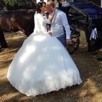 Frank Schreck - @frankschreck - Instagram