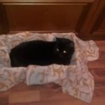 Frank Schwarz - @frank.schwarz.16144 - Instagram