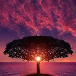 Frank Schweizer - @frank.schweizer48 - Instagram