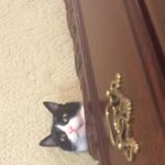 Frank Seaton - @frank.seaton.90 - Instagram