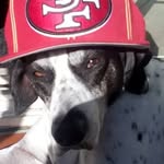 Frank Sedillo - @frank_has_sportscards - Instagram
