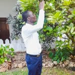 Frank senior 5 - @5franksenior - Instagram