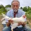Frank - @frankstansberryfarm - TikTok