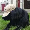 Frank Settekorn - @franksettekorn - TikTok