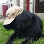 Frank Settekorn - @franksettekorn - Instagram