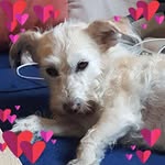 Frank Settelmeyer - @franksettelmeyer - Instagram