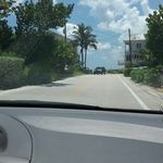 frank sforza - @franksforza - Instagram