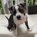 Bailey Frank Shaughnessy - @bailey_frank_s - Instagram