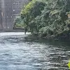 Frank Shell - @frank.shell - TikTok