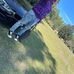 Frankie Shuler - Facebook