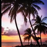 Frank Singh - @trini_travelerz - Instagram