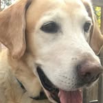 Frank Sipe - @sipefrank - Instagram