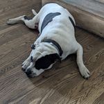 frank slack - @frank.slack - Instagram