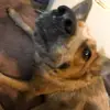 jfickrjrkfifjie - @frank.slays - TikTok