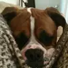 frankiesluss365 - @frankiesluss365 - TikTok