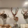Frank Smith - @frank.smith430 - TikTok