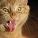 Frank Smoot - Facebook