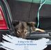 Frank Soentgen - Facebook