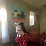 frank spaulding - @spaulding.frank - Instagram