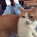 Frank Spratt - Facebook