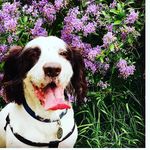 Frank - @sprockerfrank - Instagram