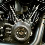 Frank Standish - @standish.frank - Instagram