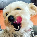 Frank Starcher - @starcherfrank - Instagram