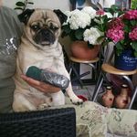 Frank Stäubling - @staublingfrank - Instagram