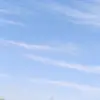 fronk sterk - @frank_stechhiii - TikTok
