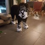Frank S. - @frank.steckel - Instagram