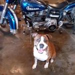 Frank J Stecker - @fjs605 - Instagram