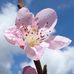 Frank Steigerwald - Facebook