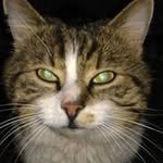 Frank Steinert - @frank642011 - Instagram
