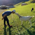 Frank Steinert - @franksteinert80 - Instagram