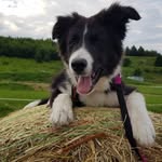 Frank Steinert - @fran.k675725 - Instagram