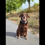 Frank Steinert - @raijchensworld - Instagram