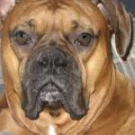 Frank Steinhauser - @fjxs623 - Instagram